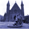Toon van Beek